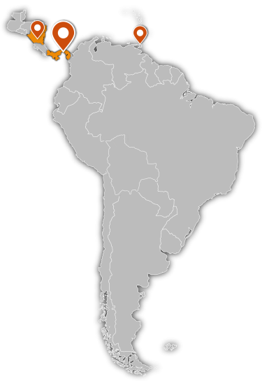 Map - Bigton